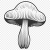 Mushroom Decal In SVG, PNG, PDF And DXF Formats