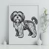 Stunning Standing Havanese - PNG Digital File