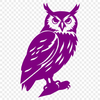 Stunning Perched Owl Design