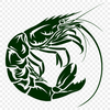 Prawn In PNG For Download, Free Commercial Use