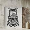 Free Australian Shepherd Illustration - Free SVG