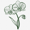 Orchid Digital Art In SVG File Format For Free Download