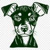 Stunning Doberman Pinscher In SVG Free Commercial Use Download