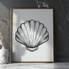 Artistic Seashell In PNG - For Free Download, Commercial Use