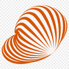 Unique Seashell Printable Image PNG - Free Download