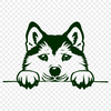 Beautiful Shiba Inu In SVG - Free Digital Download