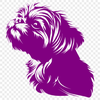 Beautiful Shih Tzu In PDF Free Commercial Use Download