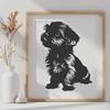 Beautiful Shih Tzu Vector Illustration - Free PNG Download