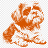 Creative Sitting Shih Tzu Vector Drawing