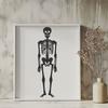 Human Body Printable Artwork - Free PNG Download