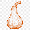 Free Squash - Vinyl PNG Free Download