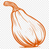 Free Unique Squash Vector Illustration