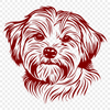 Free Unique Havanese Stencil DXF - Commercial Use