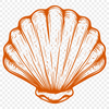 Artistic Seashell In PNG - For Free Download, Commercial Use