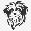 Beautiful Havanese - SVG For Commercial Use