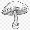 Creative Mushroom Template