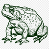 Beautiful Toad PNG