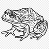 Free Free Toad Drawing