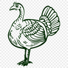 Creative Turkey Drawing