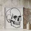 Beautiful Skull In PNG - Free Download