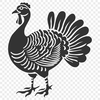 Beautiful Turkey In DXF - For Free Download, Commercial Use