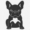 Stunning Sitting French Bulldog Vector Illustration