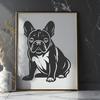 Sitting French Bulldog PNG - Image For Commercial Use