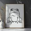 Beautiful Frog PDF