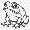 Stunning Frog Design - Free SVG Download