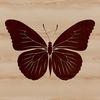 An ornate design of a single butterfly in various colors and patterns.