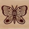 A colorful, ornate butterfly illustration with intricate details.