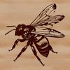 A realistic illustration of a flying bee in vector format.