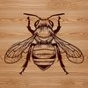 A detailed illustration of a busy honeybee in flight, suitable for gardening or craft projects.