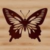 A colorful butterfly with intricate details designed as vector art for digital use.