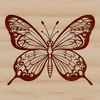 A colorful illustration of a butterfly with delicate wings, suitable for use in gardening projects or as clip art.