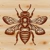 An illustration of a busy honeybee in flight, suitable for gardening and insect-themed designs.