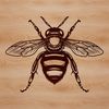 A detailed illustration of a honeybee in flight, suitable for vector art design.