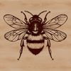 Happy Bee Illustration Illustrated cartoon bee with yellow and black stripes on a white background.