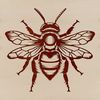 A detailed illustration of a bee, suitable for use in gardening or educational contexts as clip art.