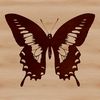 Delicate Wings SVG Design A colorful illustration of a butterfly with delicate wings, suitable for vector art designs and clip art projects.