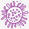 Vector illustration of bacteria in microscopic detail