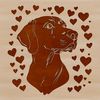 Weimaraner Illustration with Love Hearts A stylized illustration of a Weimaraner dog with hearts.