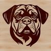 Beautiful Rottweiler Close-up Design Close-up illustration of a Rottweiler's head, vector design suitable for clip art and commercial or personal use.