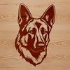Beautiful German Shepherd Face Illustration A high-quality SVG vector illustration of a German Shepherd's head from the front.