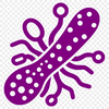A simple, scalable illustration of a bacterium in a stylized representation.