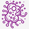 An illustration of a single bacterial cell with labeled parts, suitable for educational or medical contexts.
