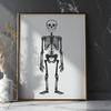 Unique Skeleton Vector Illustration PNG - Free Download