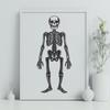 Skeleton Illustration In PNG & SVG - Free Digital Download