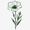 Floral Wild Flower Vector Illustration - Free SVG Download