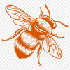 Stunning Bee Vector Drawing In PDF For Free Download